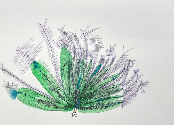 NBC Peacock, by Shawn Jackson