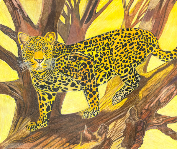 In the Deep Rainforest, by Scott Maciejewski