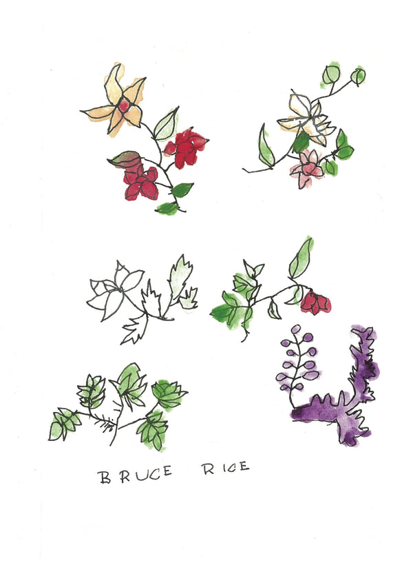 Flower Zine, by Bruce Rice