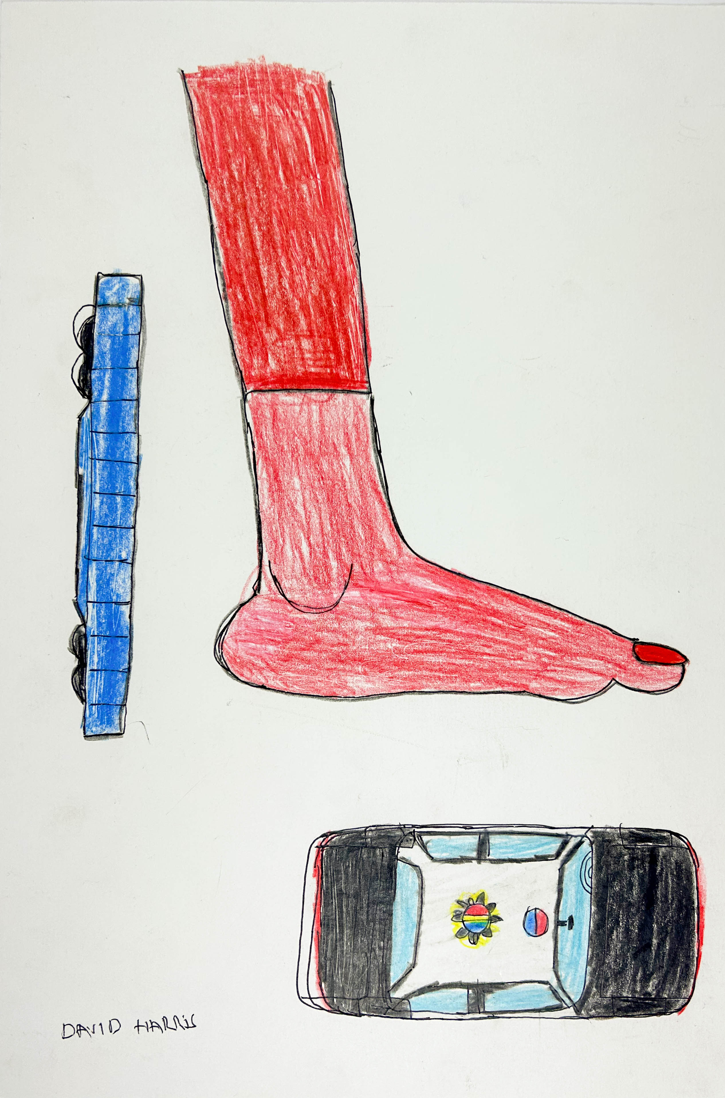 The Foot, by David Harris - pasc-gallery