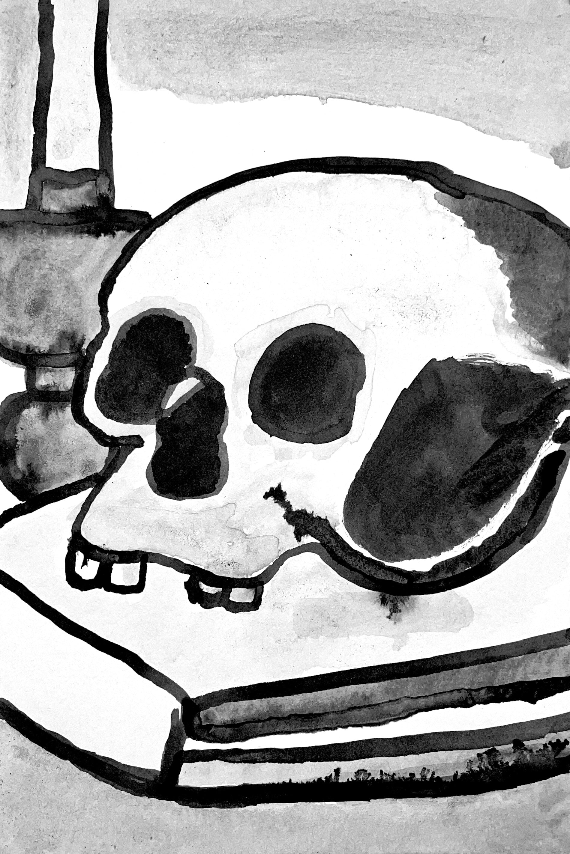 The Skull, by John Peterson - pasc-gallery