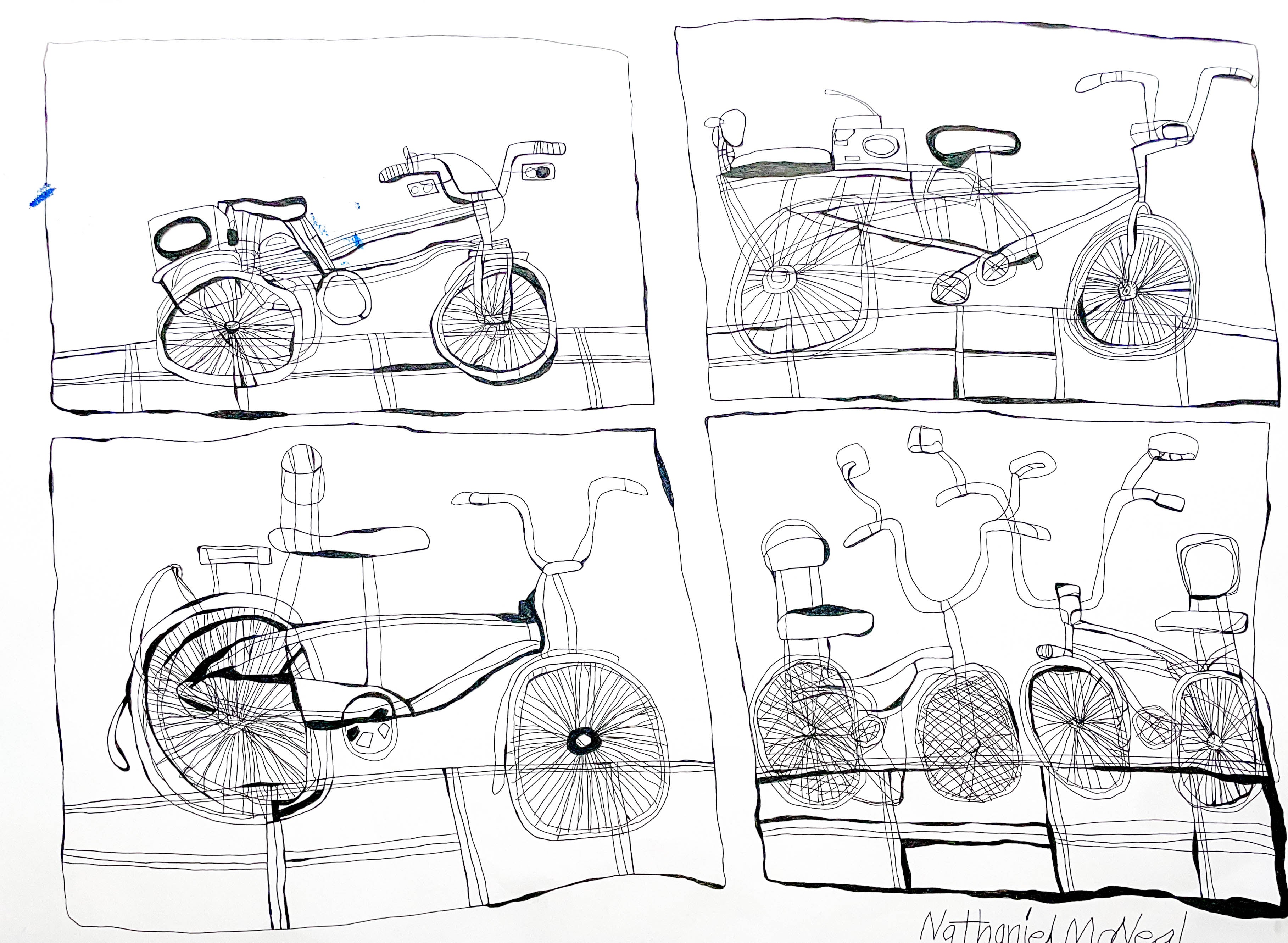 Bicycle Class, by Nathaniel McNeal Jr.