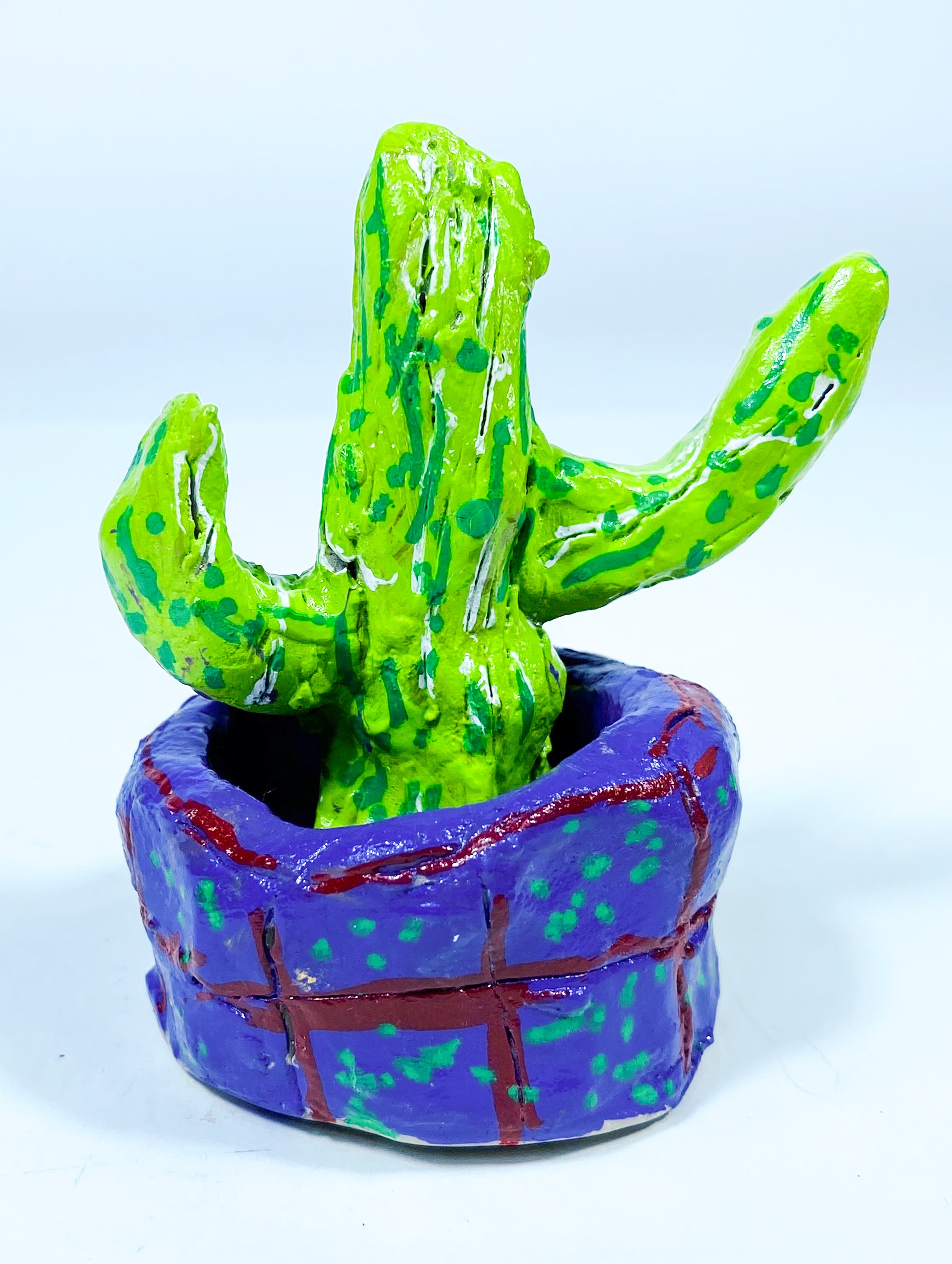 A Cactus, by Ryan McDonagh - pasc-gallery