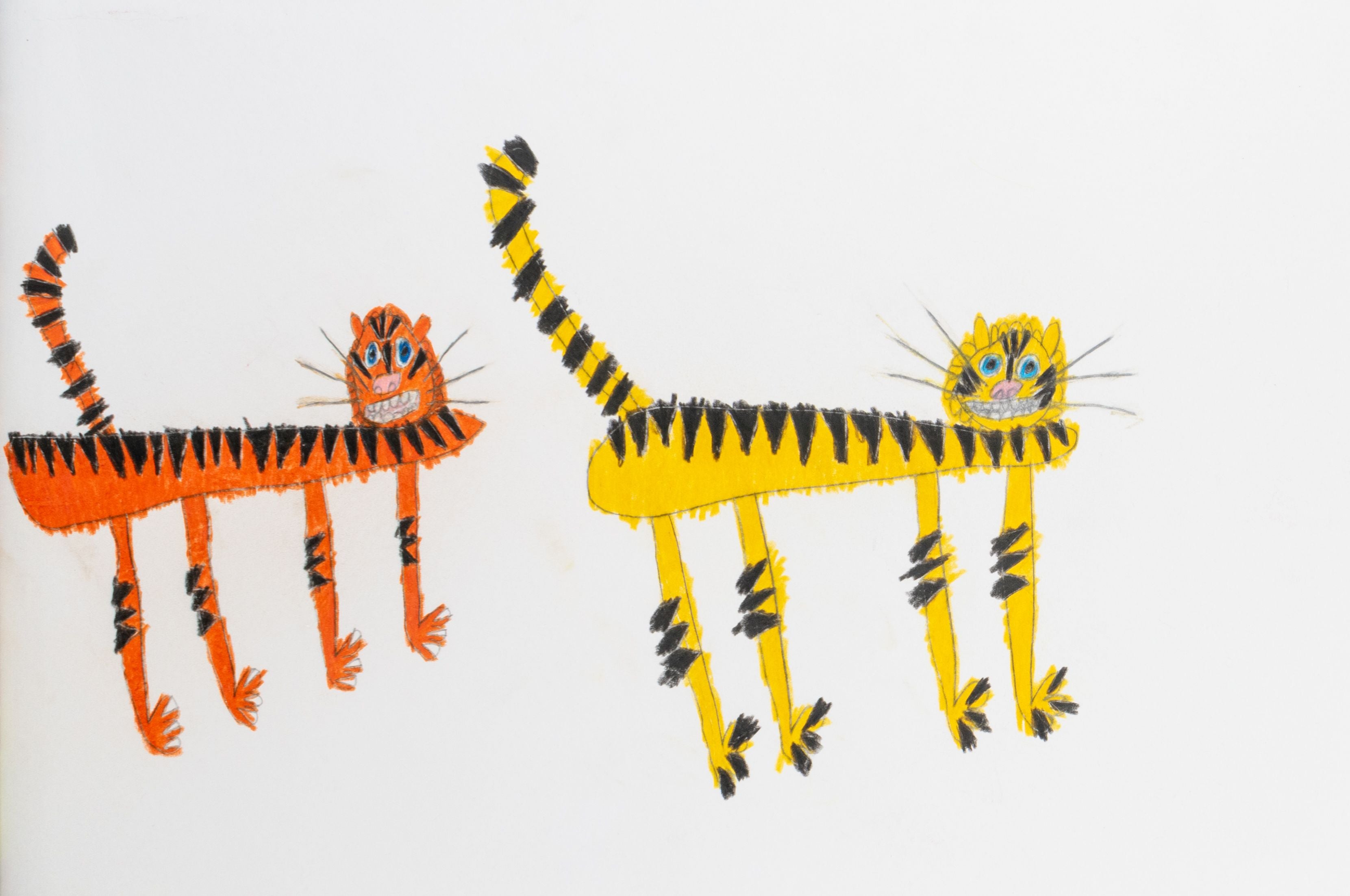 Two Tigers, by Joseph Lucas II - pasc-gallery