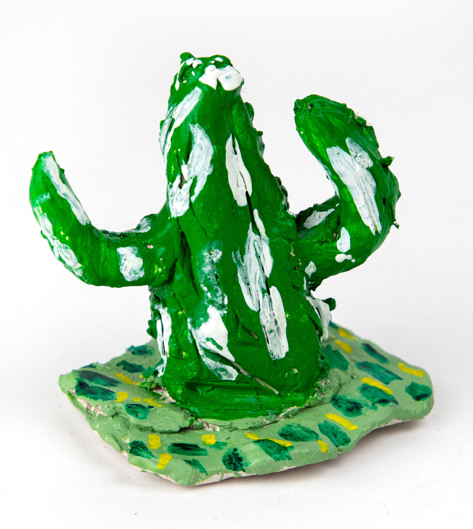 Cactus, Ryan McDonagh - pasc-gallery
