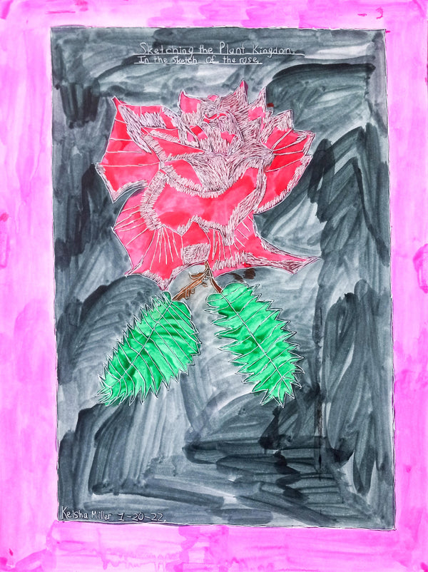 Sketching The Plant Kingdom In The Sketch Of The Rose, by Keisha Miller