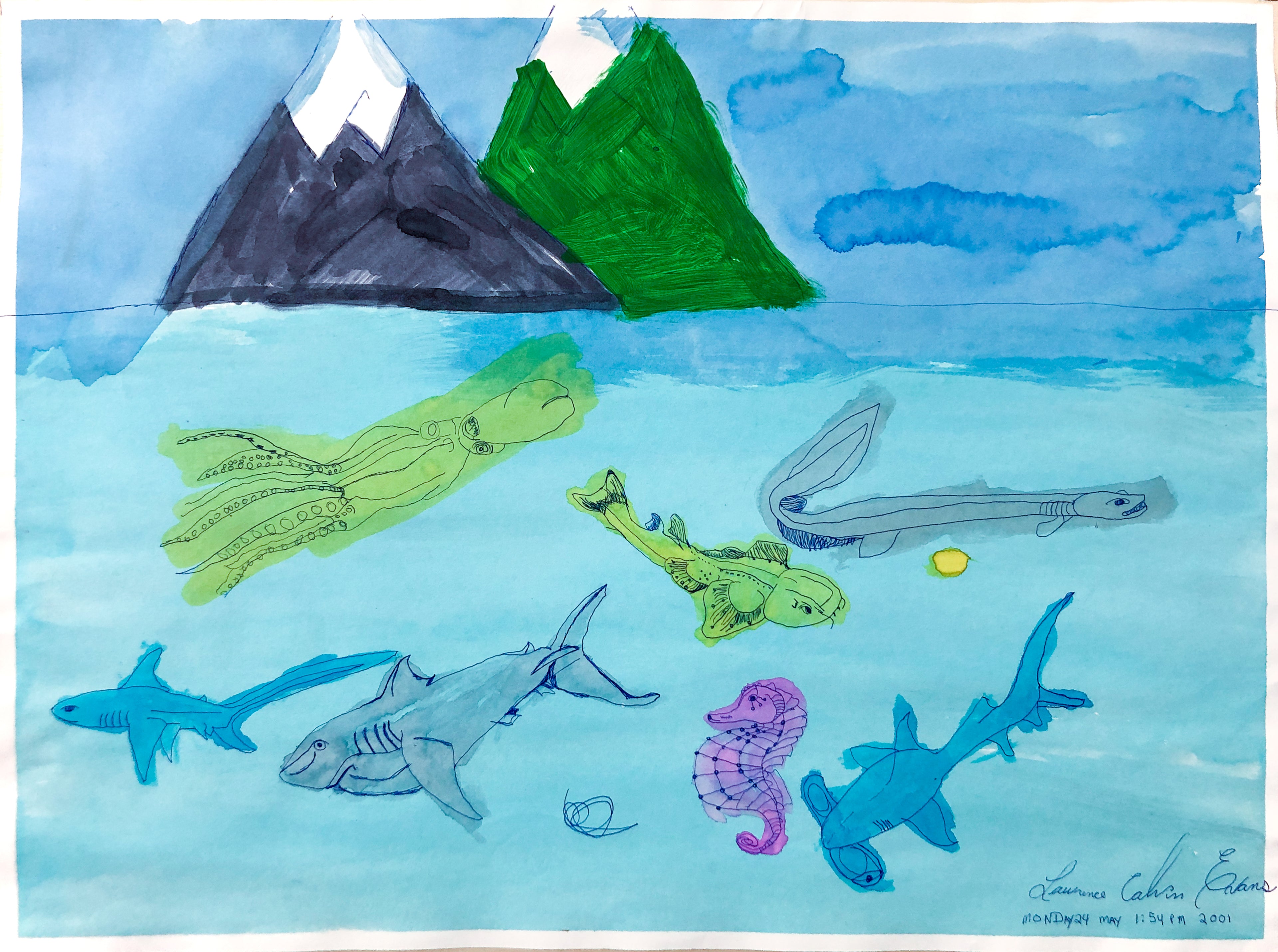Ocean and Mountains - pasc-gallery