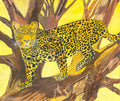 In the Deep Rainforest, by Scott Maciejewski - pasc-gallery