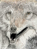 Wolf, by Therrin Burns - pasc-gallery