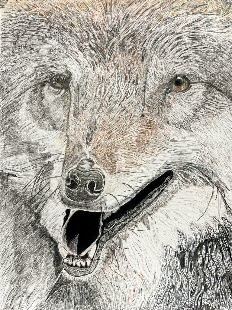 Wolf, by Therrin Burns